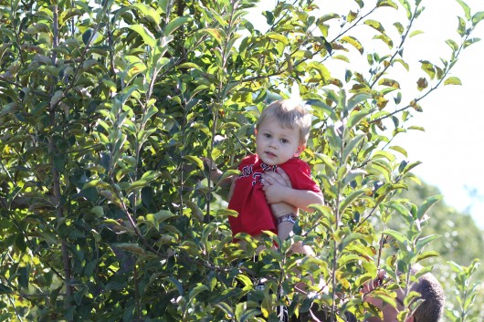 Hey, there is a Tyler in that tree.